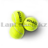 Набор теннисных мячей 3 штуки в упаковке NO:BST-102