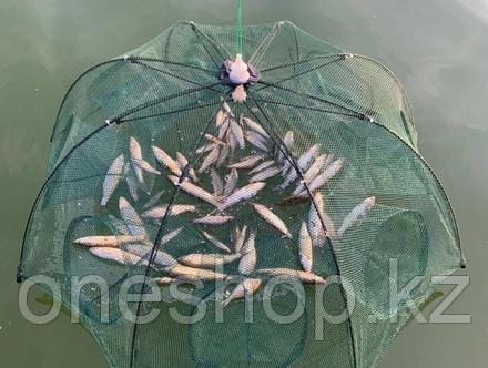 Сетка для рыбы - Усовершенствованная Верша-паук (Рыболовная сеть)
