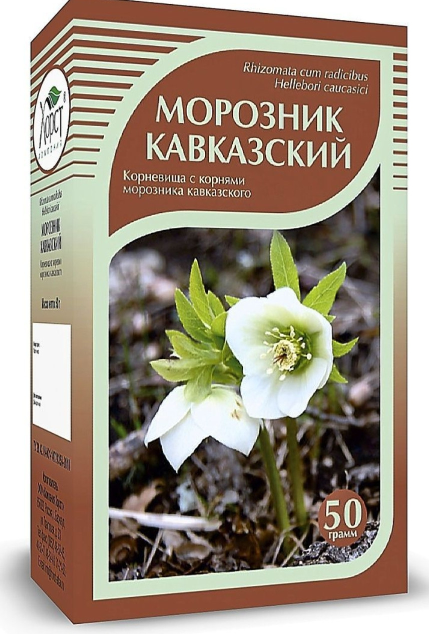 Морозник кавказский,Хорст, 50 гр