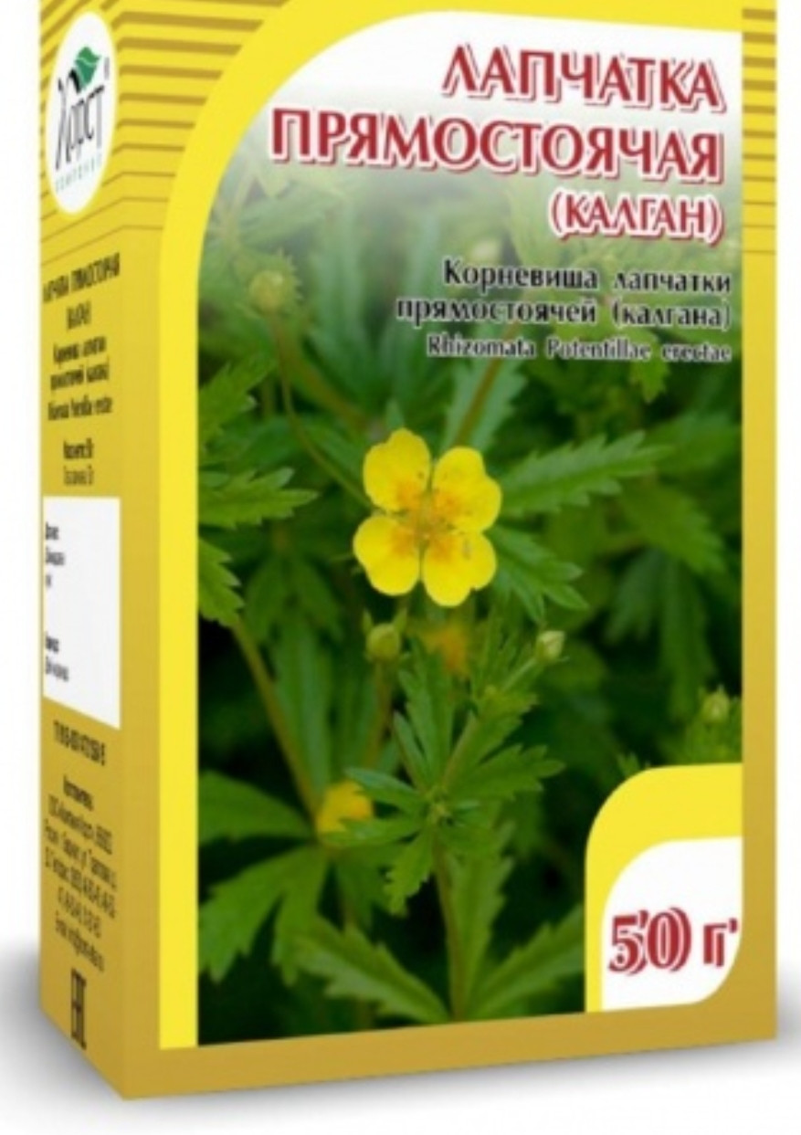Лапчатка прямостоячая( калган), Хорст, 50 гр