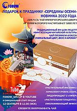 Чай Шун Ци «SHUN CI» FOHOW растительный инсулин, САХАРНЫЙ диабет, фото 3