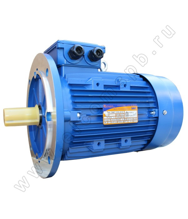 Электродвигатель АИР (5АИ) 100 L6 3081 (2.2 кВт/1000 об.мин) (id 103594415)