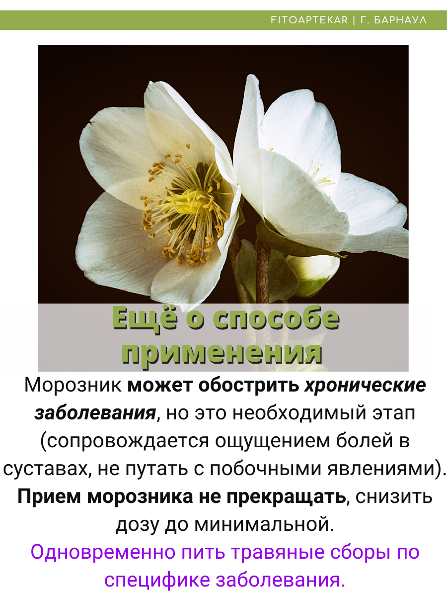 Морозник Для Похудения Отзывы Купить Реальных