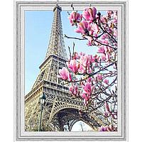 Картина 3D мозаика с нанесенной рамкой (40х50) ВЕСНА В ПАРИЖЕ (29 цветов)