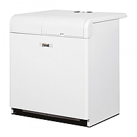 Газовый Чугунный котёл Ferroli Pegasus N 67 2S