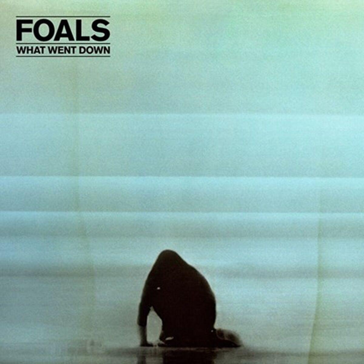 Foals What Went Down LP, фото 1