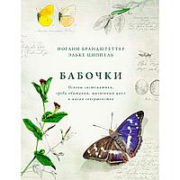 Брандштеттер И., Циппель Э.: Бабочки: Основы систематики, среда обитания, жизненный цикл и магия совершенства