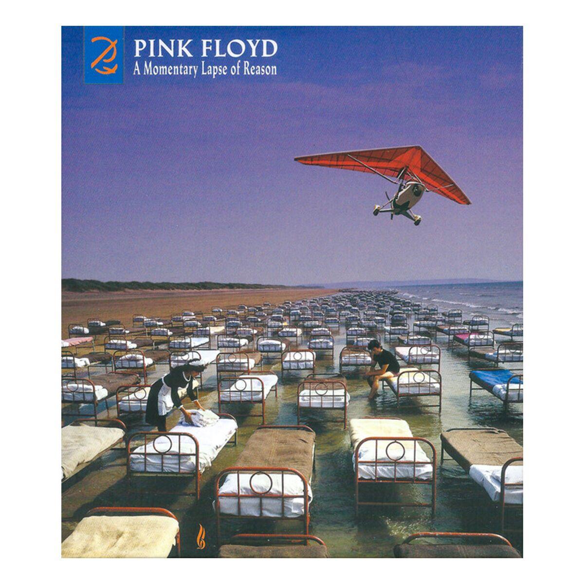 Pink Floyd A Momentary Lapse Of Reason (Remixed and Updated) (Album, Deluxe Edition CD+DVD) 2CD