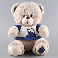 Plush: Мягкая игрушка "Медвежонок в голубой футболке", 30 см