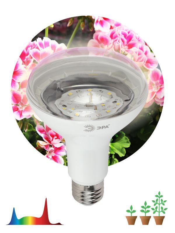 Лампа светодиодная FITO-15W-Ra90-E27 15Вт BR30 E27 220-240В для растений полноспектральная бел. спектр Эра