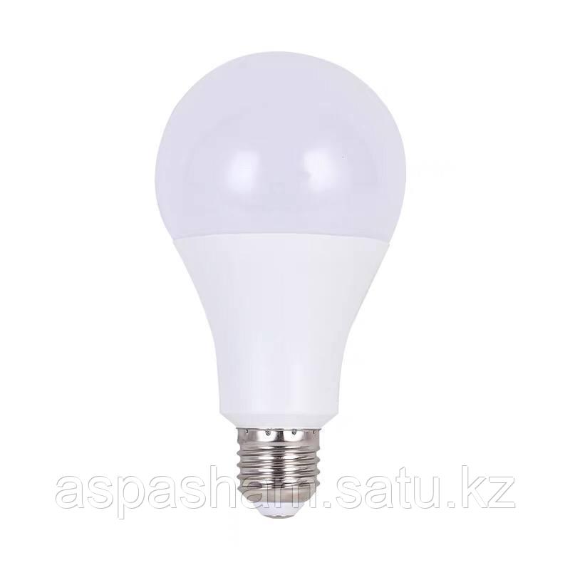 Светодиодная лампа в форме груши А70 - фото 2 - id-p101543428