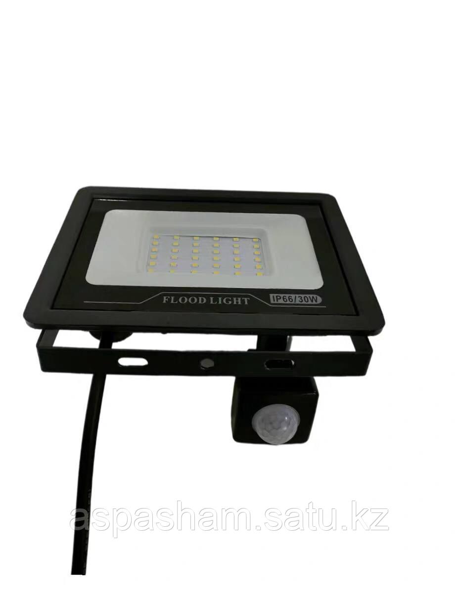 Светодиодный LED Прожектор с датчиком движения - фото 5 - id-p101542866