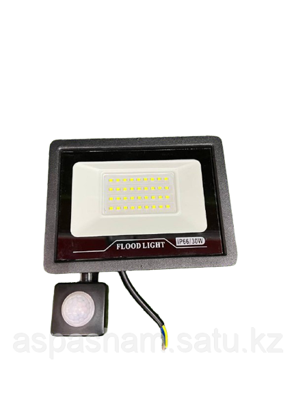 Светодиодный LED Прожектор с датчиком движения - фото 7 - id-p101542866