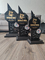 Спортивные чемпионские кубки