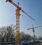 Аренда башенного крана в Усть Каменагорске, фото 2