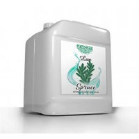 4,8 л Ароматизатор для хамам Ель "Люкс"