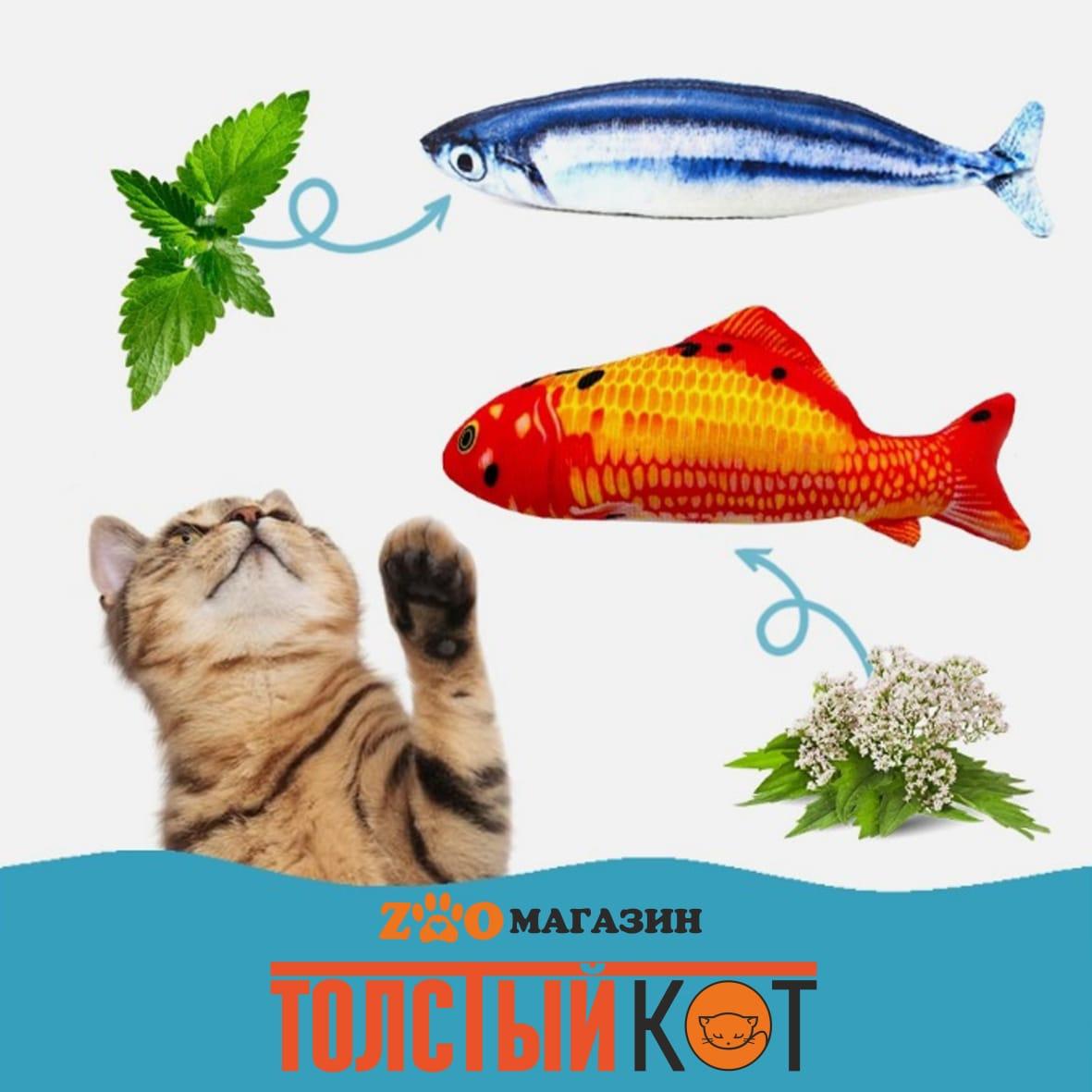 Игрушка для кошек Рыба с кошачьей мятой