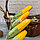 Искусственная кукуруза декоративный муляж зеленый 30 см, фото 4