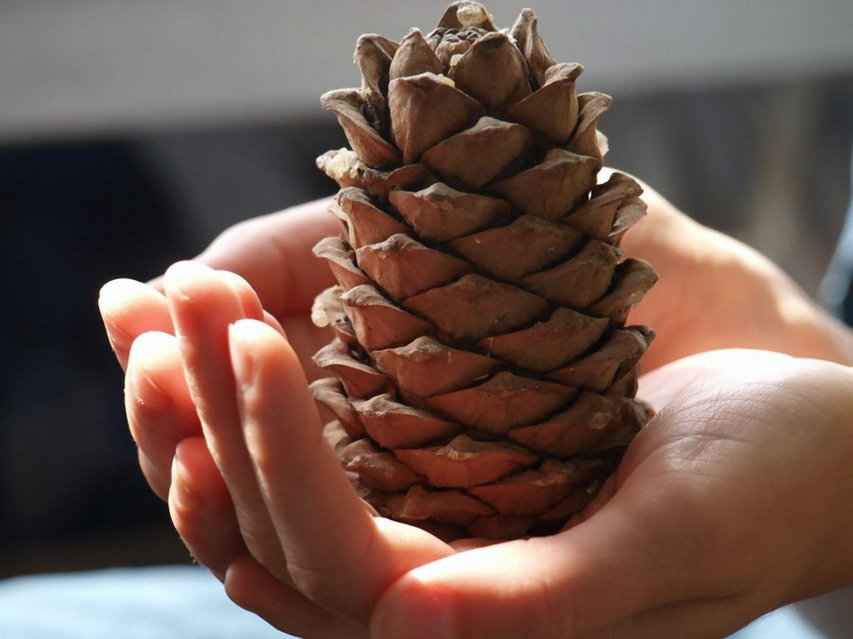 Телефонмен сөйлесіп жатқанда блять видео