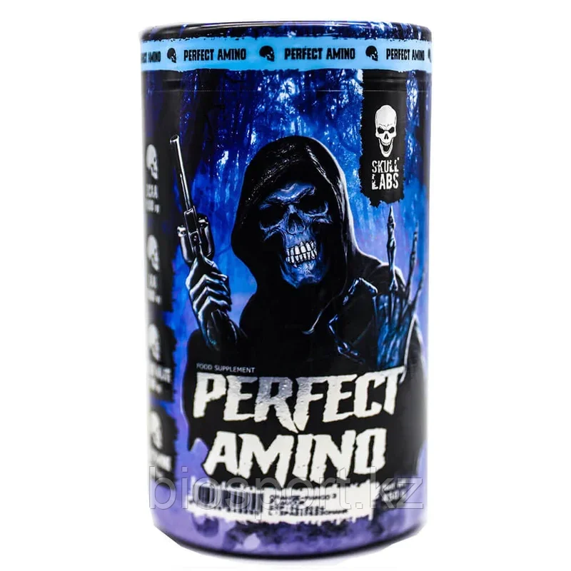 SKULL LABS Perfect Amino, 450 грамм
