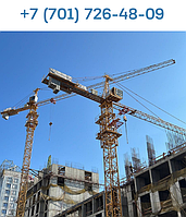 Услуга аренды башенного крана ZXM TP100 (ZX6013)