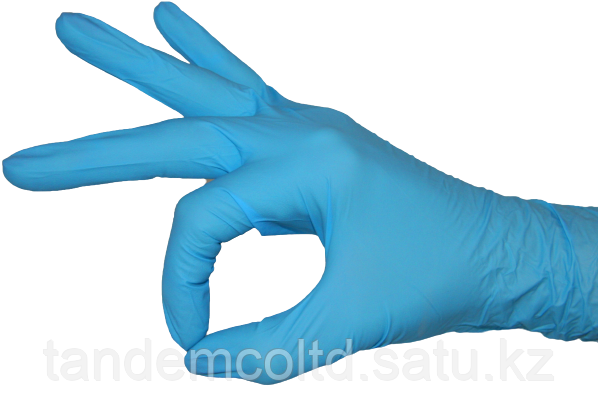 Перчатки нитриловые Ecolux, размер L - фото 3 - id-p103770641