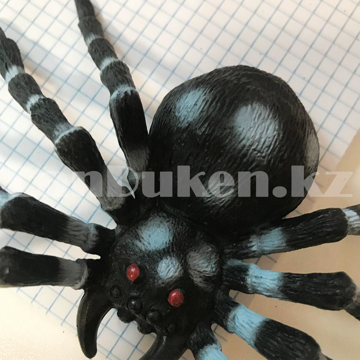 Паук на хэллоуин Wild Spider черный в горошек (id 102930334)