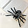 Паук на хэллоуин Wild Spider черный в горошек, фото 4