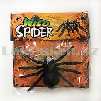 Паук на хэллоуин Wild Spider коричневый