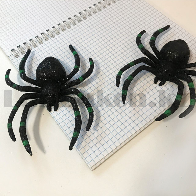 pauk hellouin pauk hellouin