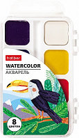 Акварель медовая "Hatber", 8 цветов, серия "Colora", пластиковый пенал