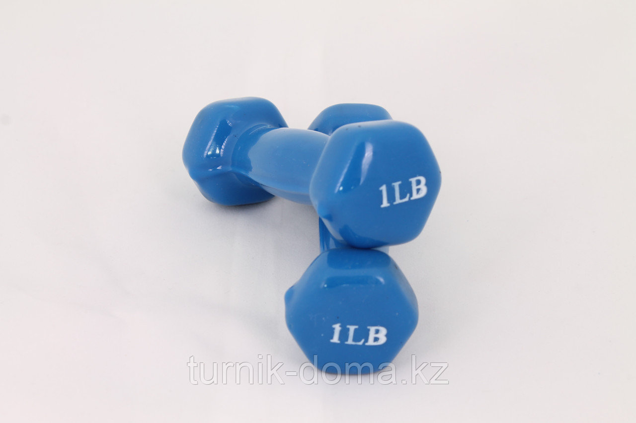 Гантели для фитнеса 1LB Blue - фото 2 - id-p13065054