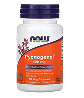 NOW Foods, Pycnogenol, 100 мг, 60 растительных капсул