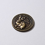 Монета латунь "Прибыльного года!", d=2,5 см, фото 2
