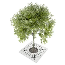 Приствольная решетка