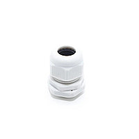 Фитингтер (тығыздамалар)