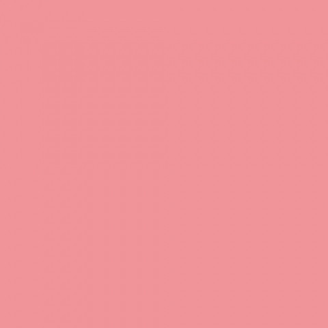 Розовая гвоздика, бумажный фон в рулоне 11м Х 2,72м от Kelly Photo США 17