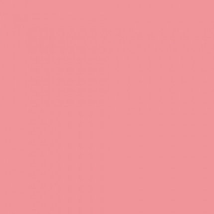 Розовая гвоздика, бумажный фон в рулоне 11м Х 2,72м от Kelly Photo США 17, фото 2