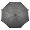 Автоматический зонт-трость LIPSI, серый, фото 2