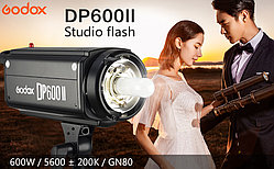 Набор импульсного света Godox DP 600 II (Duo kit)