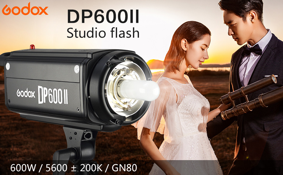 Набор импульсного света Godox DP 600 II (Duo kit) - фото 1 - id-p103915288