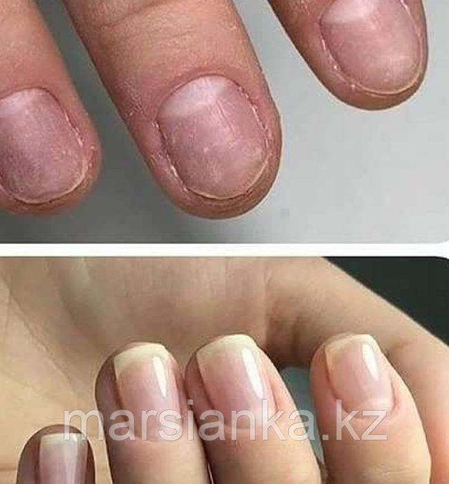 Средство для протезирования ногтей Bliss Protect, 15 гр - фото 2 - id-p104044832