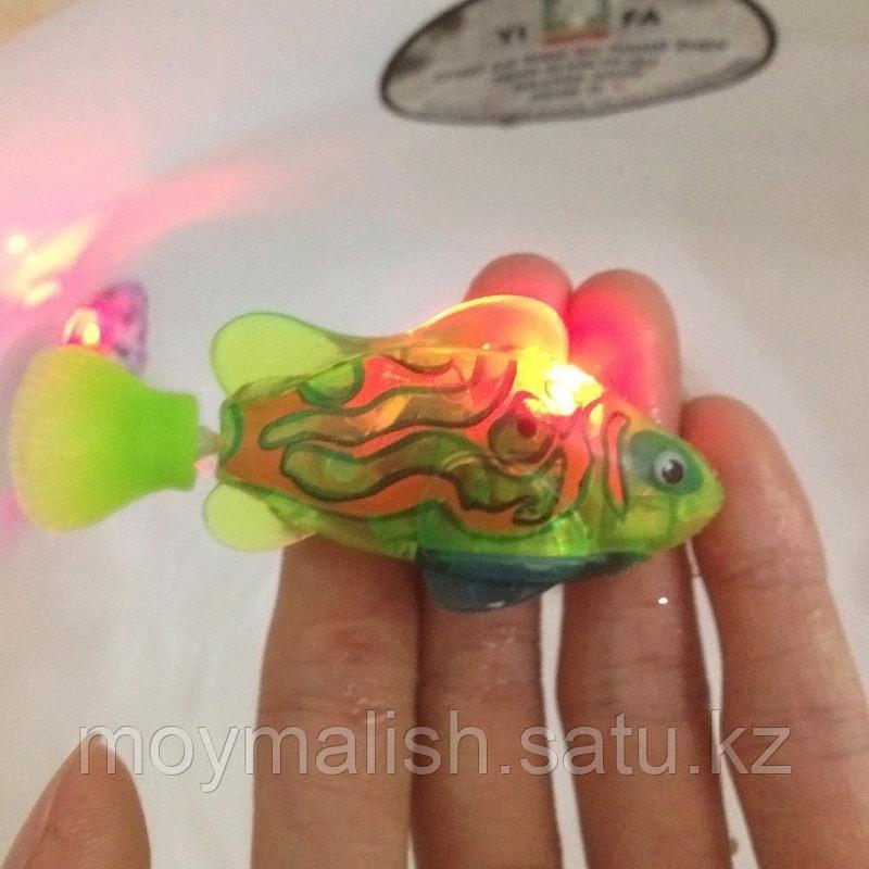 Интерактивная плавающая игрушка Robofish (цвета в ассортименте, цена указана за 1 шт). - фото 7 - id-p104173371