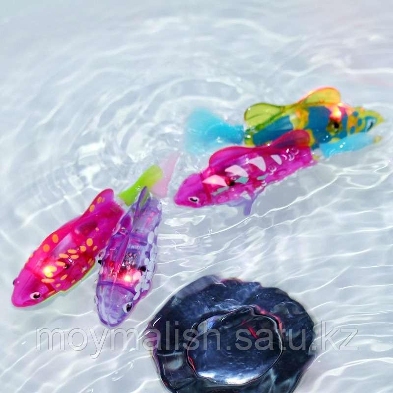 Интерактивная плавающая игрушка Robofish (цвета в ассортименте, цена указана за 1 шт). - фото 5 - id-p104173371