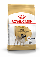 ROYAL CANIN Pug Adult, Роял Канин корм для собак породы Мопс, уп. 0.5 кг
