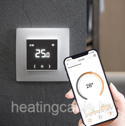 Терморегулятор EcoSmart 25, фото 2