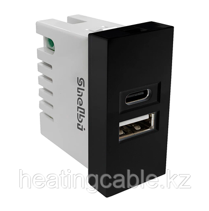 Shelbi 2- портовая USB и Type-C Розетка зарядка 45х22.5, чёрная, фото 2