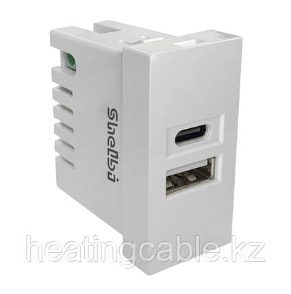 Shelbi 2- портовая USB и Type-C Розетка зарядка 45х22.5, белая, фото 2
