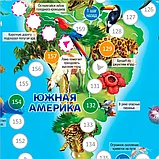 Игра-ходилка: Животный мир Земли | Геодом, фото 4