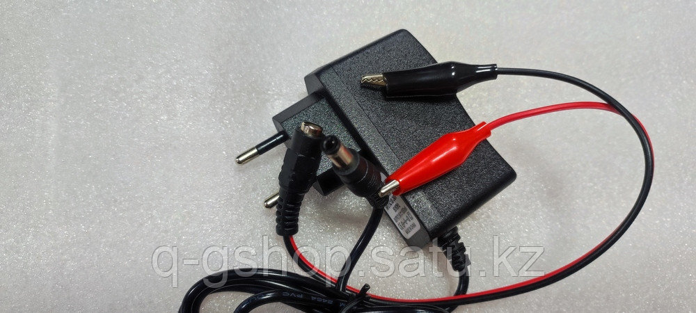 Зарядное устройство свинцового аккумулятора 6 В - фото 2 - id-p104253137